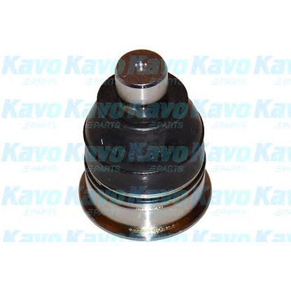 Фото Несущий / направляющий шарнир KAVO PARTS SBJ6528