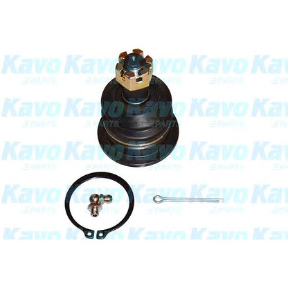 Фото Несущий / направляющий шарнир KAVO PARTS SBJ9055