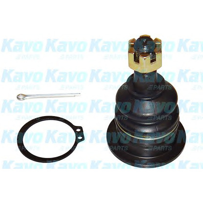 Фото Несущий / направляющий шарнир KAVO PARTS SBJ9066