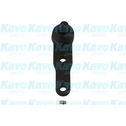 Foto Trag-/Führungsgelenk KAVO PARTS SBJ1005