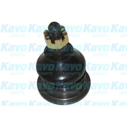 Foto Giunto di supporto / guida KAVO PARTS SBJ2002