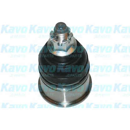 Photo Ball Joint KAVO PARTS SBJ2009