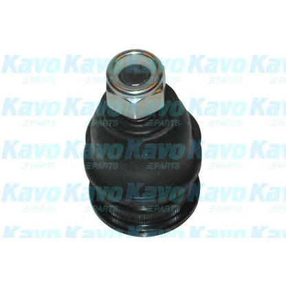 Foto Rótula de suspensión/carga KAVO PARTS SBJ3010