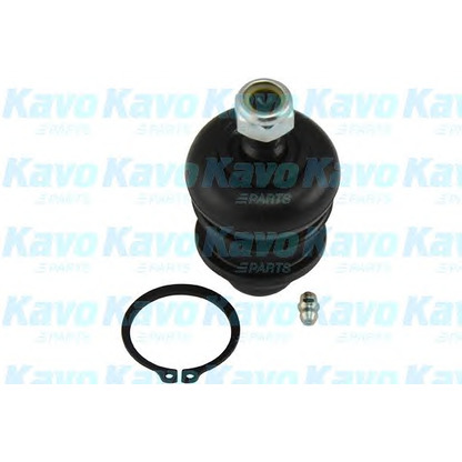 Фото Несущий / направляющий шарнир KAVO PARTS SBJ3011