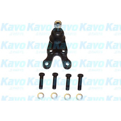 Foto Trag-/Führungsgelenk KAVO PARTS SBJ3024