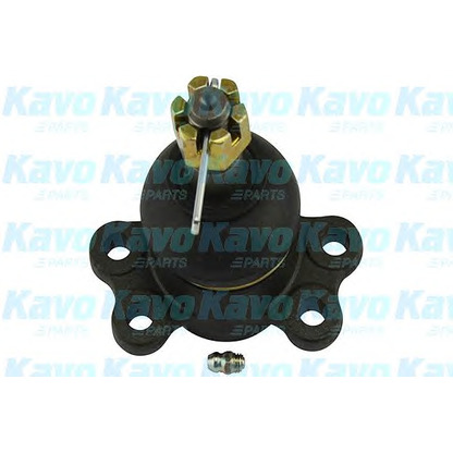 Фото Несущий / направляющий шарнир KAVO PARTS SBJ3501