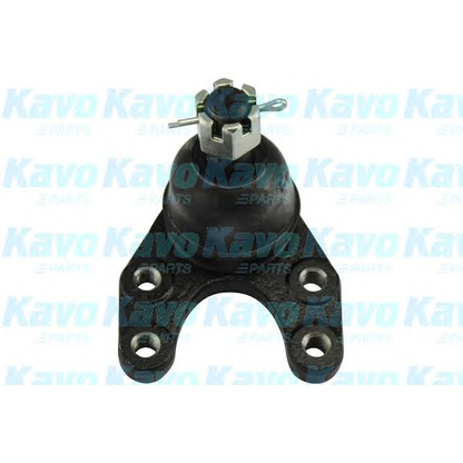 Zdjęcie Przegub mocujący / prowadzący KAVO PARTS SBJ4507