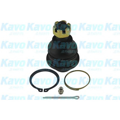 Foto Rótula de suspensión/carga KAVO PARTS SBJ5504