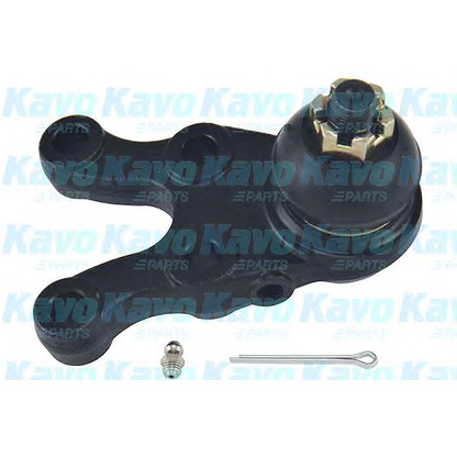 Foto Rótula de suspensión/carga KAVO PARTS SBJ5506