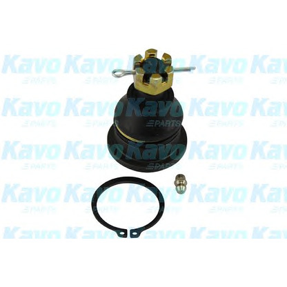 Photo Rotule de suspension KAVO PARTS SBJ5515