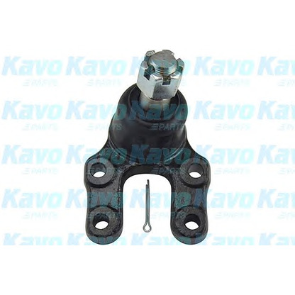 Фото Несущий / направляющий шарнир KAVO PARTS SBJ6502