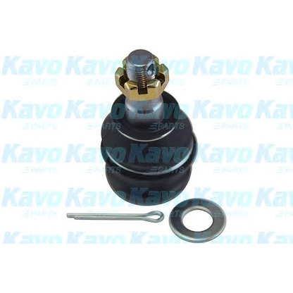 Zdjęcie Przegub mocujący / prowadzący KAVO PARTS SBJ8001