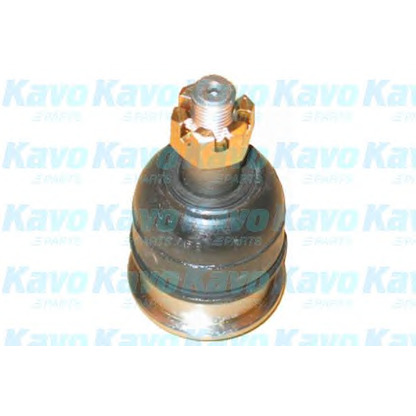 Фото Несущий / направляющий шарнир KAVO PARTS SBJ9034