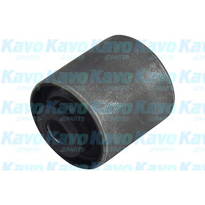 Foto Supporto, Braccio oscillante KAVO PARTS SCR2017