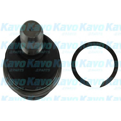 Foto Rótula de suspensión/carga KAVO PARTS SBJ6550