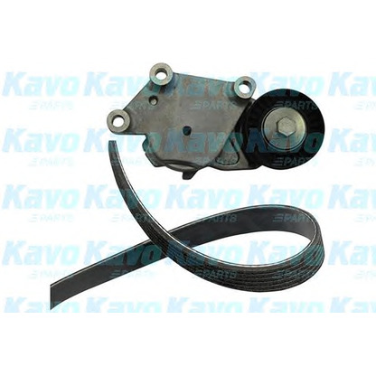 Фото Комплект клинового ремня KAVO PARTS DKM4503