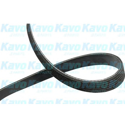 Foto Keilrippenriemen KAVO PARTS DMV1010