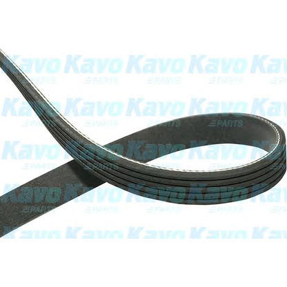 Фото Поликлиновой ремень KAVO PARTS DMV1016