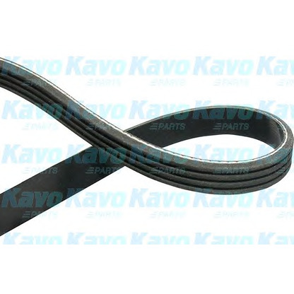 Foto Keilrippenriemen KAVO PARTS DMV1516