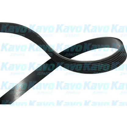 Foto Keilrippenriemen KAVO PARTS DMV2033