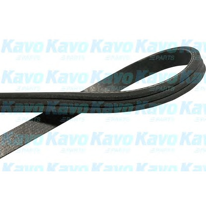 Фото Поликлиновой ремень KAVO PARTS DMV2044