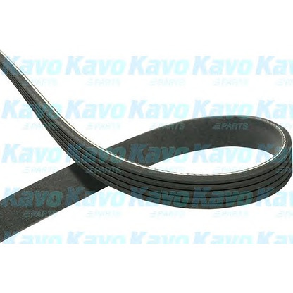 Photo V-Ribbed Belts KAVO PARTS DMV4503