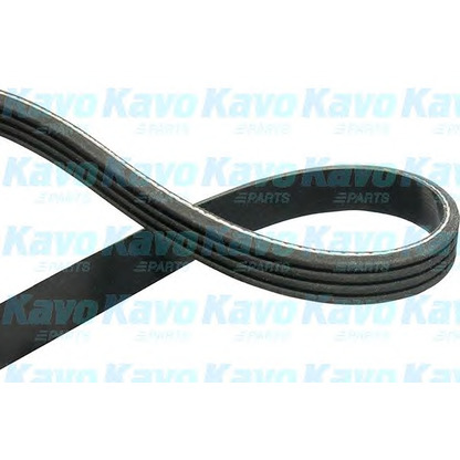 Photo V-Ribbed Belts KAVO PARTS DMV4516