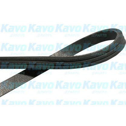 Photo V-Ribbed Belts KAVO PARTS DMV4529