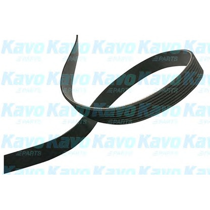 Photo V-Ribbed Belts KAVO PARTS DMV4540