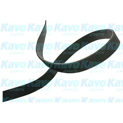 Photo V-Ribbed Belts KAVO PARTS DMV4545
