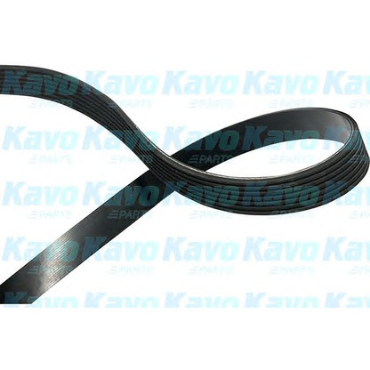 Photo V-Ribbed Belts KAVO PARTS DMV9112