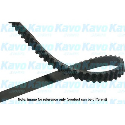 Фото Ремень ГРМ KAVO PARTS DTB1507