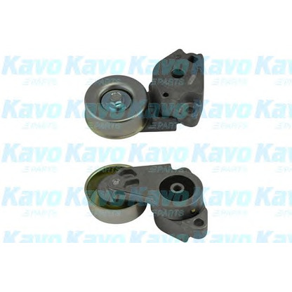 Foto Spannarm, Keilrippenriemen KAVO PARTS DTP5503