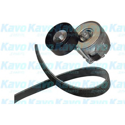 Фото Комплект клинового ремня KAVO PARTS DKM8502