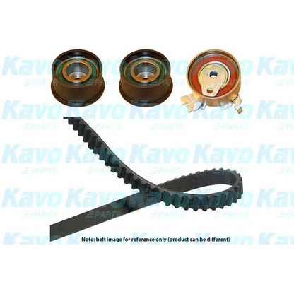 Фото Комплект ремня ГРМ KAVO PARTS DKT1008