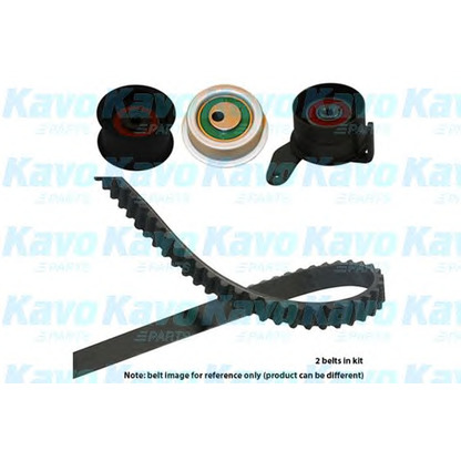 Фото Комплект ремня ГРМ KAVO PARTS DKT5524