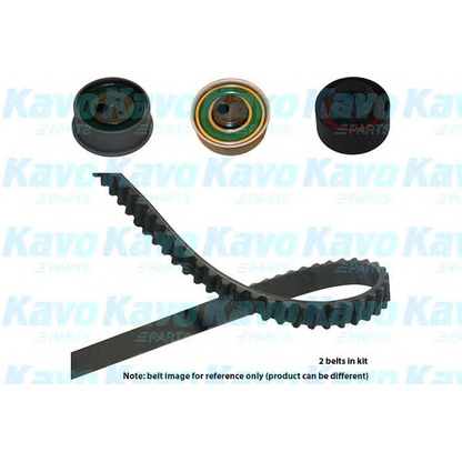 Фото Комплект ремня ГРМ KAVO PARTS DKT5545