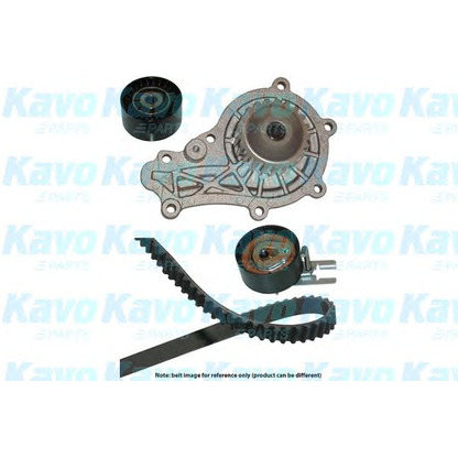 Фото Водяной насос + комплект зубчатого ремня KAVO PARTS DKW4501