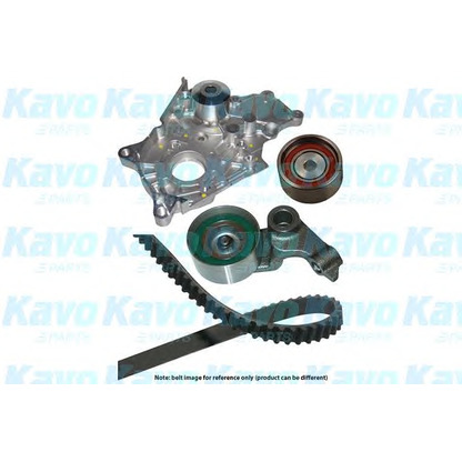 Foto Bomba de agua + kit correa distribución KAVO PARTS DKW9005