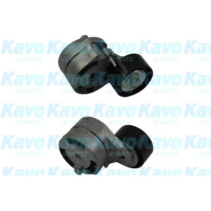 Foto Spannarm, Keilrippenriemen KAVO PARTS DTP8514