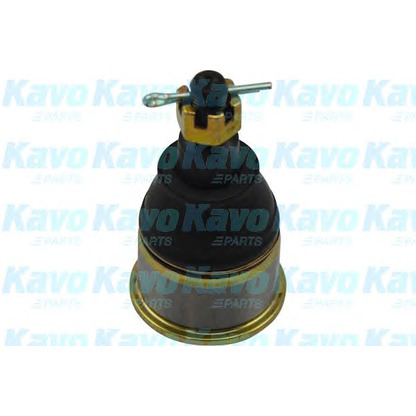 Foto Giunto di supporto / guida KAVO PARTS SBJ2024