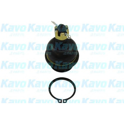 Photo Rotule de suspension KAVO PARTS SBJ6555