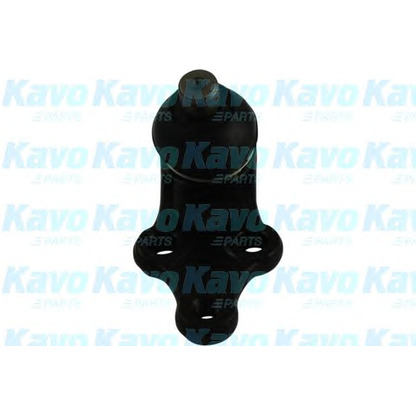 Foto Rótula de suspensión/carga KAVO PARTS SBJ4021