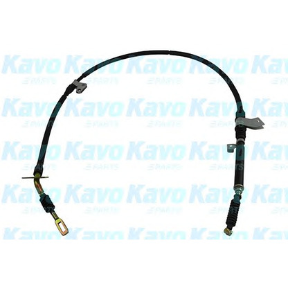 Foto Cavo comando, Freno stazionamento KAVO PARTS BHC4656