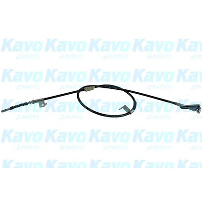 Photo Cable, parking brake KAVO PARTS BHC6566
