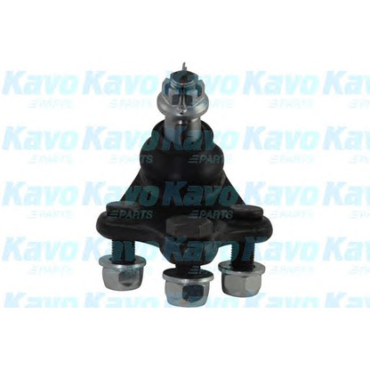 Foto Rótula de suspensión/carga KAVO PARTS SBJ9073