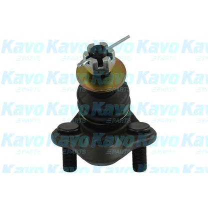 Foto Rótula de suspensión/carga KAVO PARTS SBJ9075