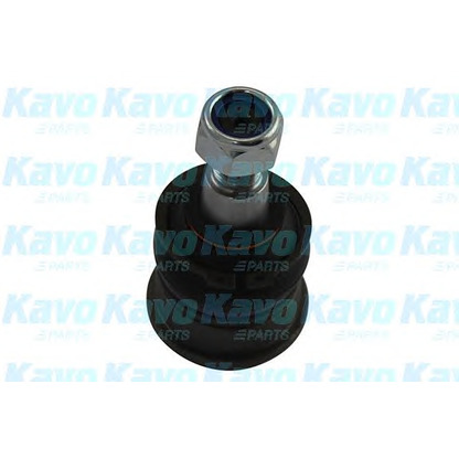 Foto Giunto di supporto / guida KAVO PARTS SBJ9094