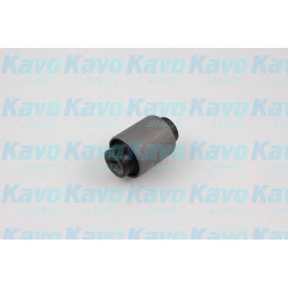 Foto Bronzina cuscinetto, Braccio oscillante KAVO PARTS SCR2066