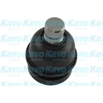 Foto Rótula de suspensión/carga KAVO PARTS SBJ5530